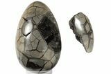 10.7" Septarian "Dragon Egg" Geode - Removable Section - #203811-1